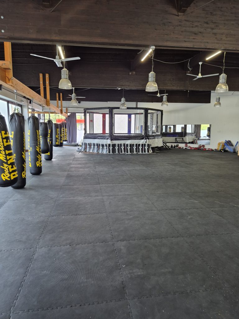 Kampfsporttraining Meta Ads 12 Combat Club Bonn Landingpage